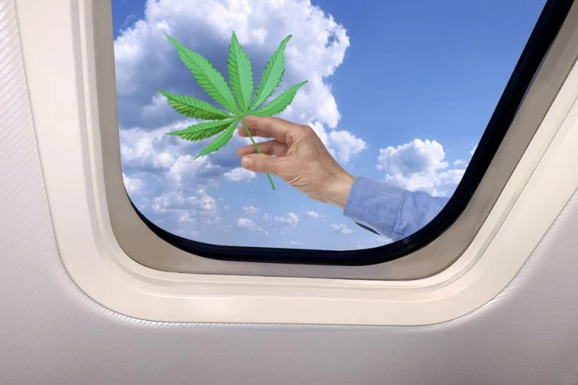 Your Ultimate Guide to 420-Friendly Travel